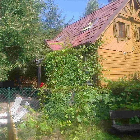 別荘 Dom Wiesia Kaszuby Do 8 Os. *