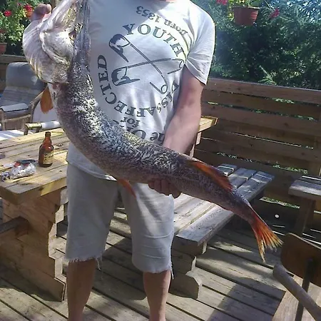 Dom Wiesia Kaszuby Do 8 Os. Olpuch