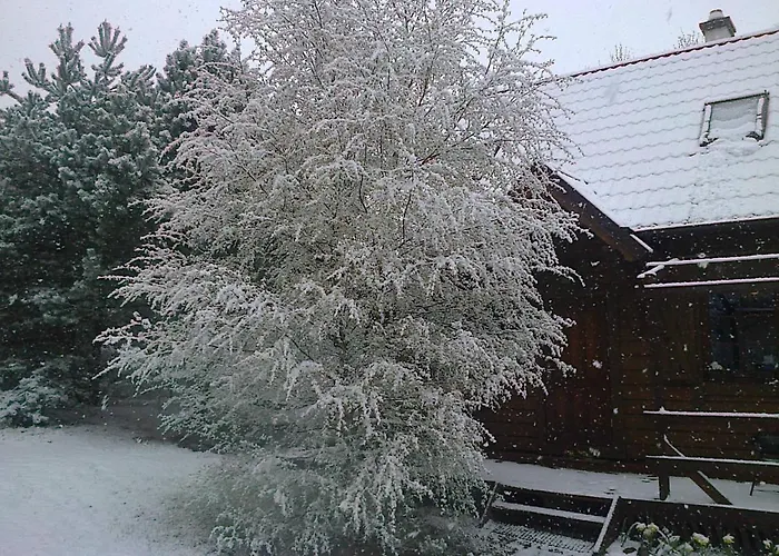 Dom Wiesia Kaszuby Do 8 Os. 度假居