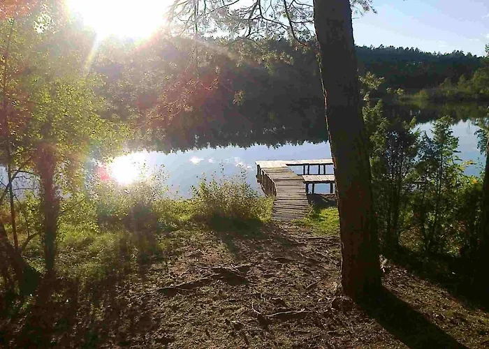 度假居 Dom Wiesia Kaszuby Do 8 Os.