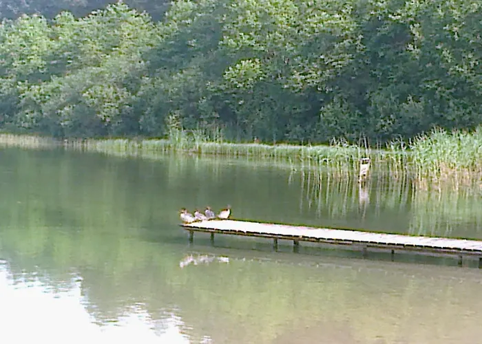 Dom Wiesia Kaszuby Do 8 Os. 度假居