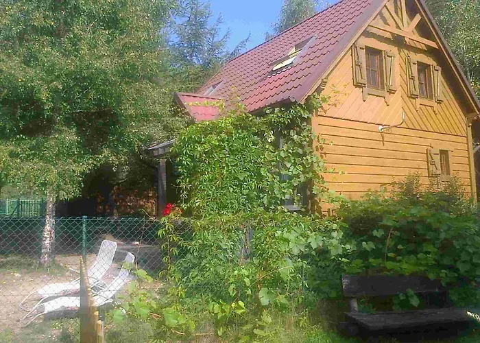 度假居 Dom Wiesia Kaszuby Do 8 Os. *