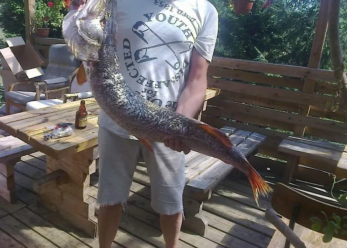 Dom Wiesia Kaszuby Do 8 Os. Olpuch